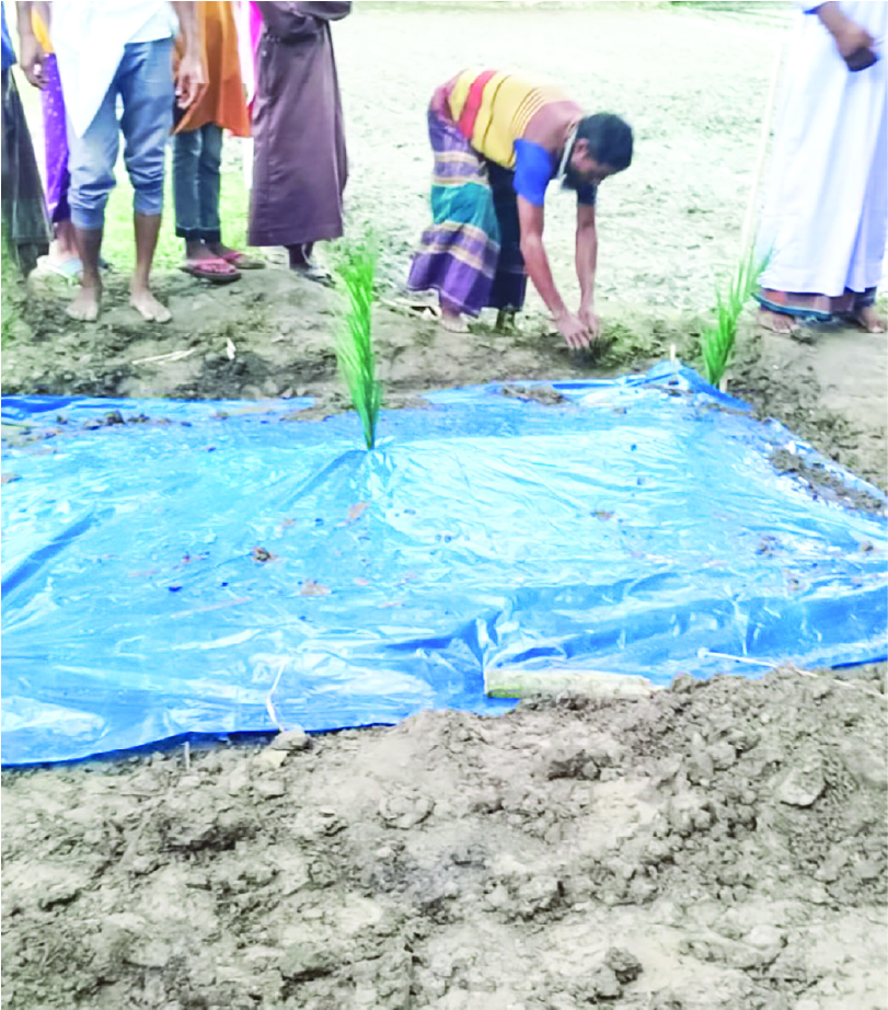 Image of মো: আরিফুল মিয়া
